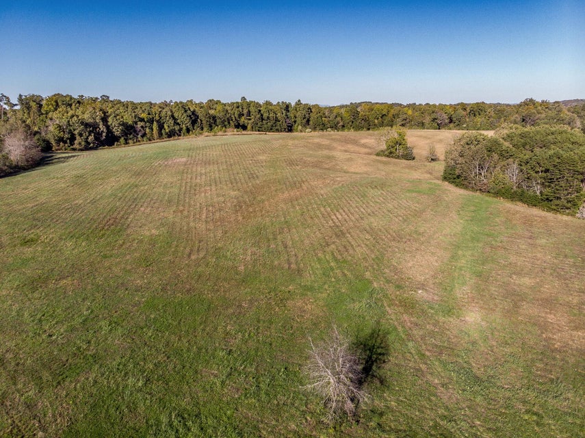 Photo #44: 00 Orebank Road
