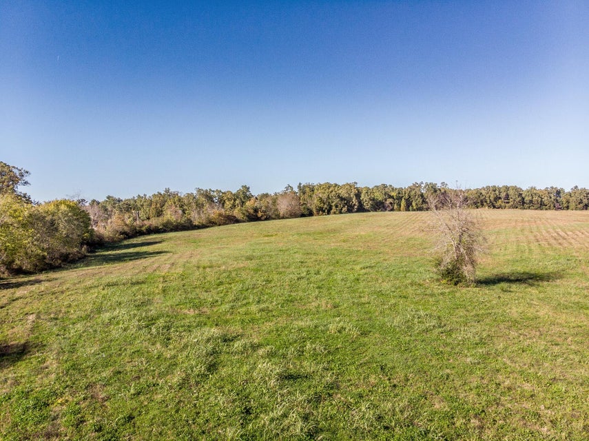Photo #5: 00 Orebank Road