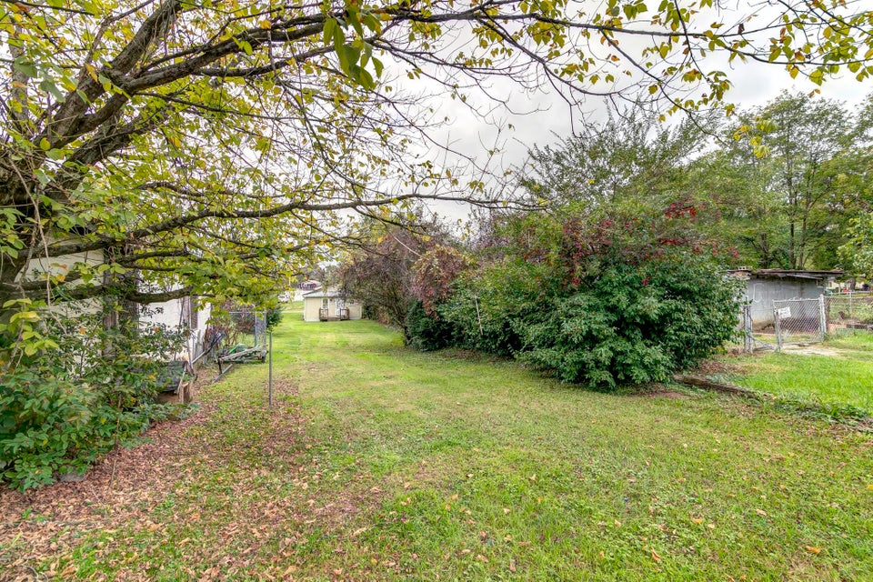 Photo #5: 906 Boone Street