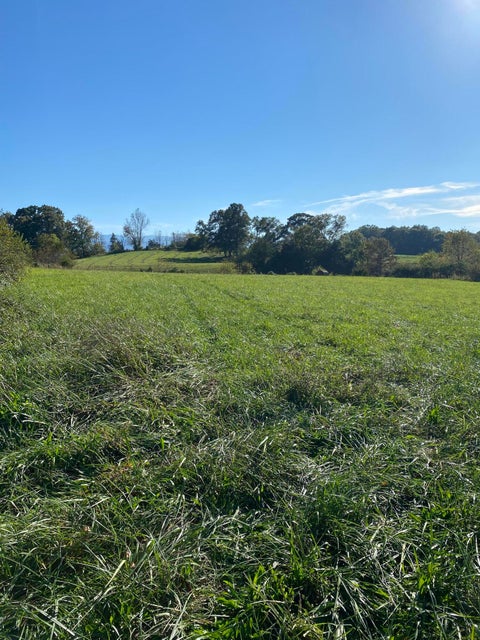 Photo #16: Tbd Mae Mckee Rd.