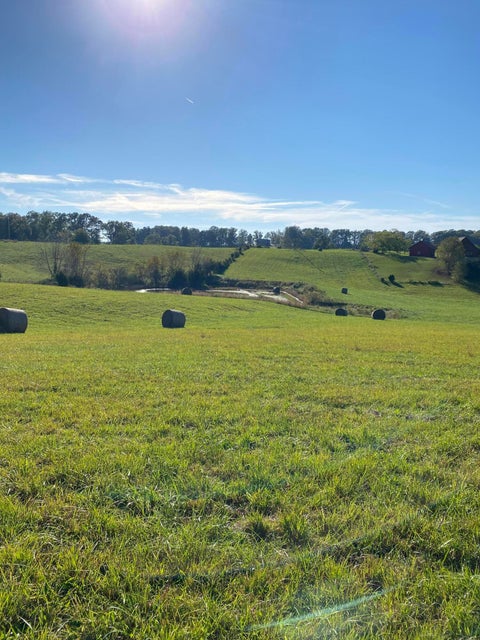 Photo #11: Tbd Mae Mckee Rd.