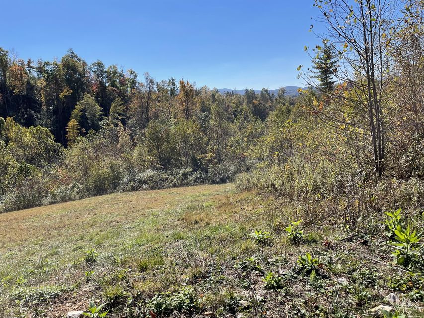 Photo #8: Tbd Greer Branch Road