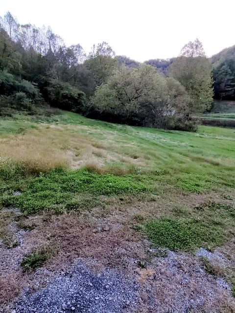 Photo #5: 189 Richard Long Road