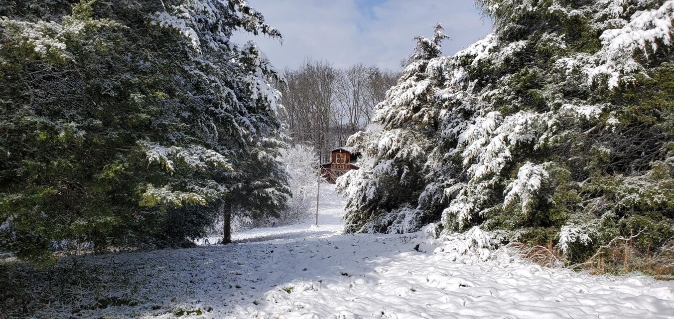 Photo #9: 180 White Hollow Way
