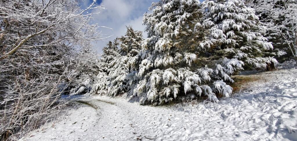 Photo #10: 180 White Hollow Way