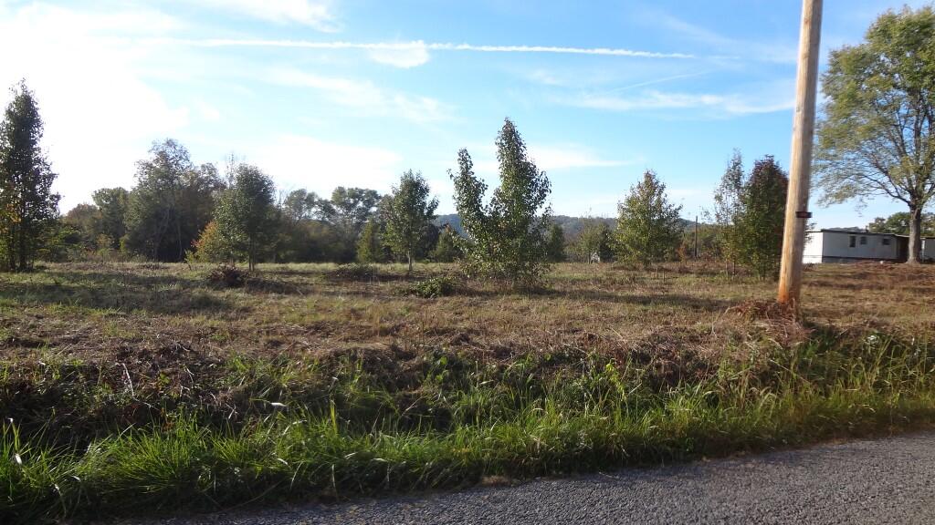 Photo #3: 000 Wisecarver Road