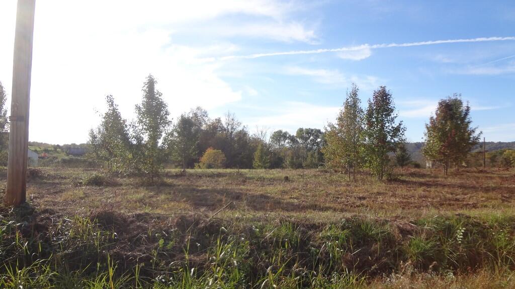 Photo #4: 000 Wisecarver Road