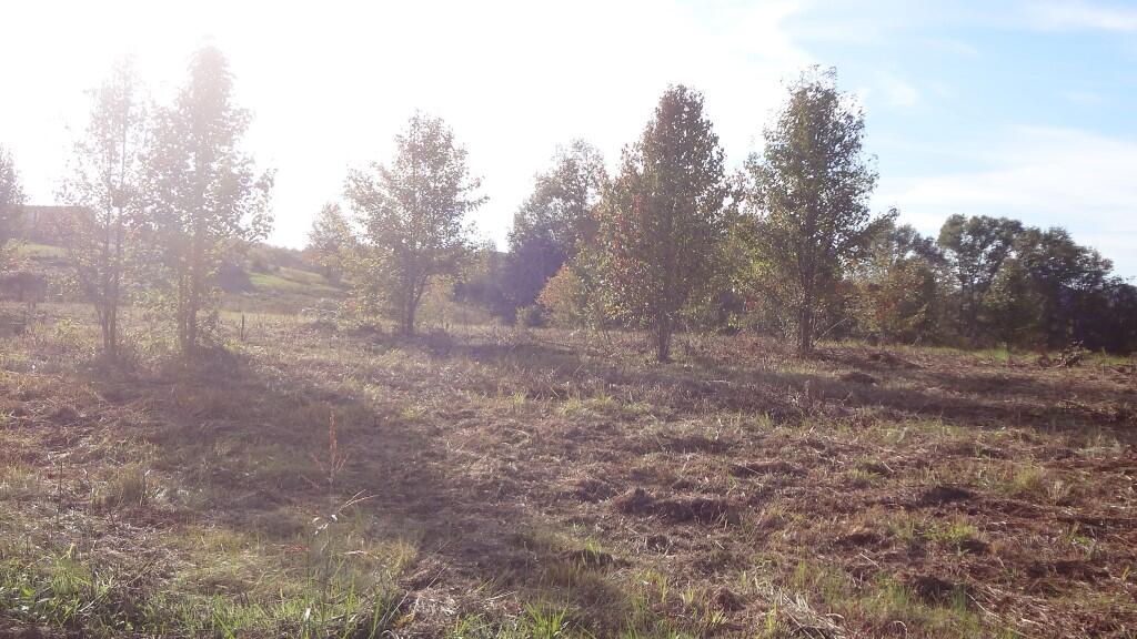 Photo #6: 000 Wisecarver Road