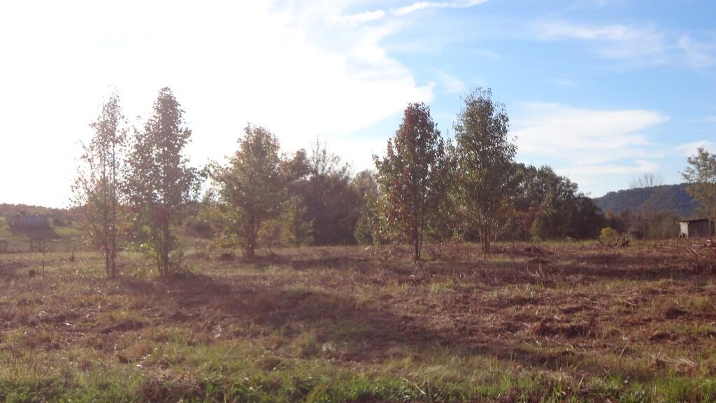 Photo #9: 000 Wisecarver Road