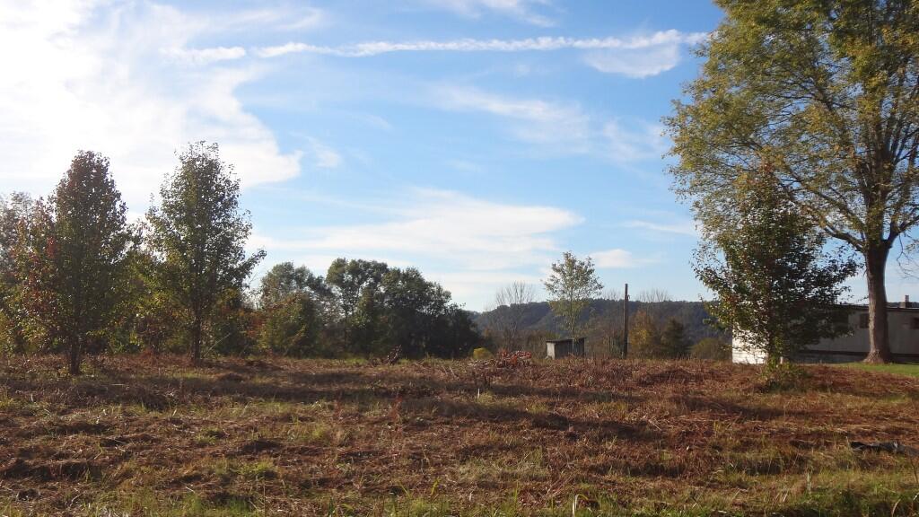 Photo #10: 000 Wisecarver Road