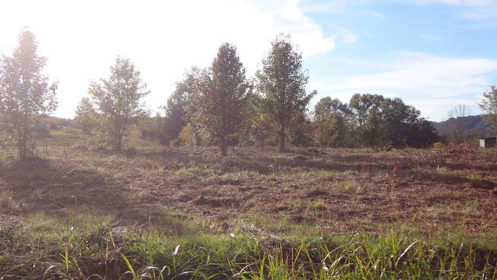 Photo #11: 000 Wisecarver Road