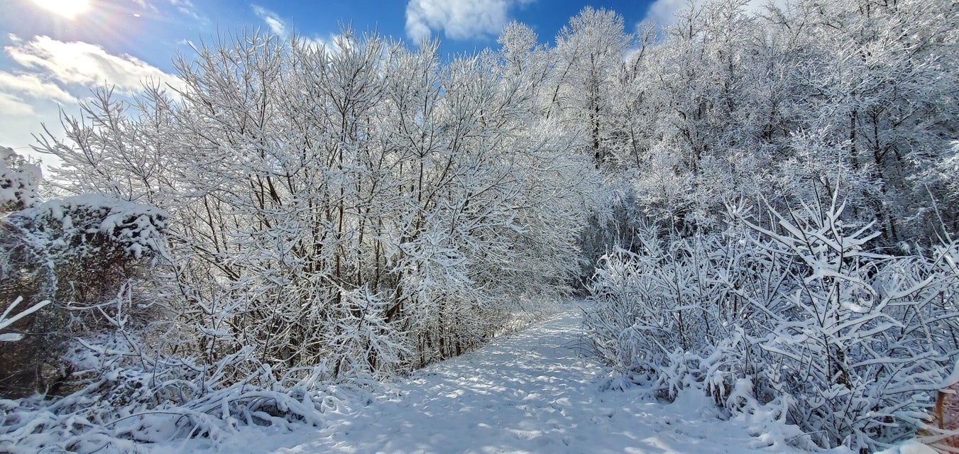Photo #13: 180 White Hollow Way
