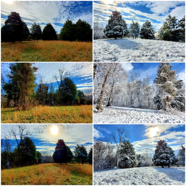 Photo #16: 180 White Hollow Way