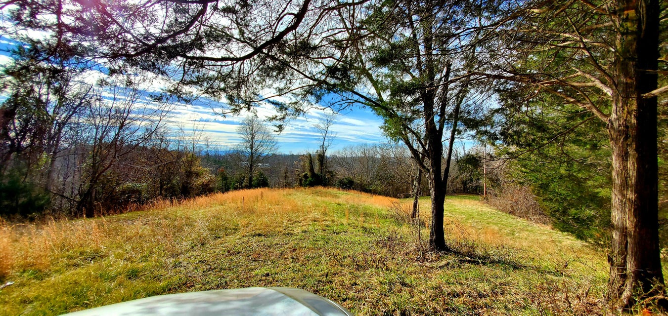 Photo #19: 180 White Hollow Way