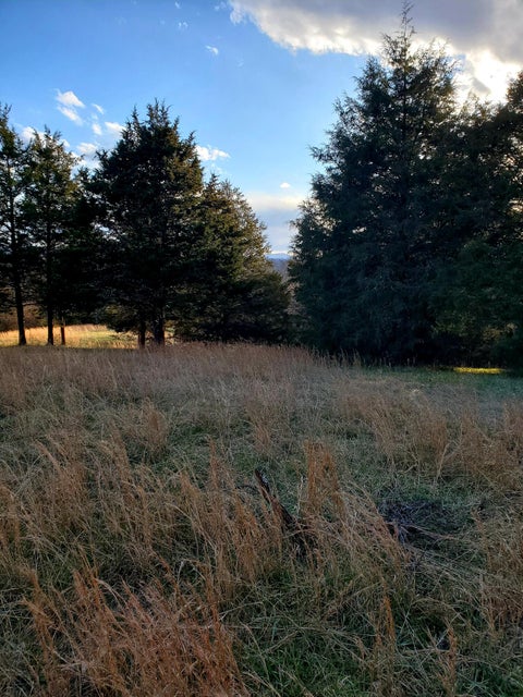 Photo #20: 180 White Hollow Way