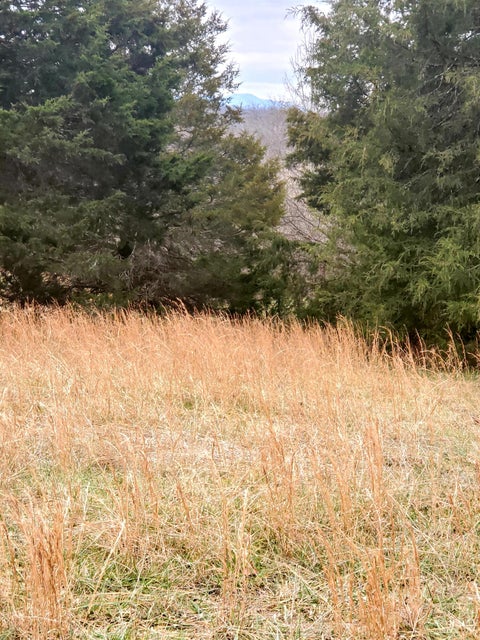 Photo #22: 180 White Hollow Way