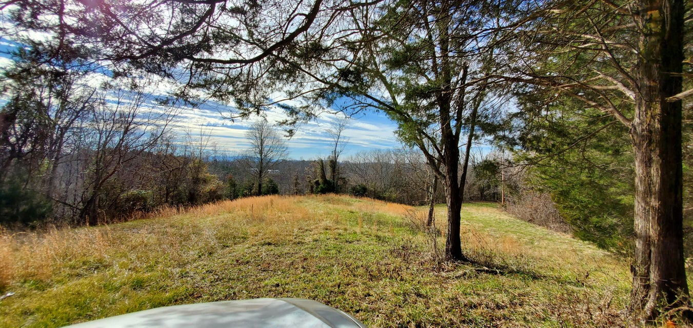 Photo #24: 180 White Hollow Way