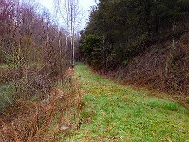 Photo #27: 180 White Hollow Way