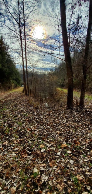 Photo #25: 180 White Hollow Way