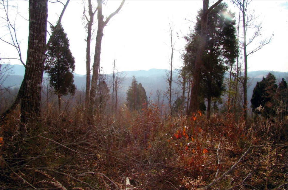 Photo #5: 00 Hill Station Alley Road