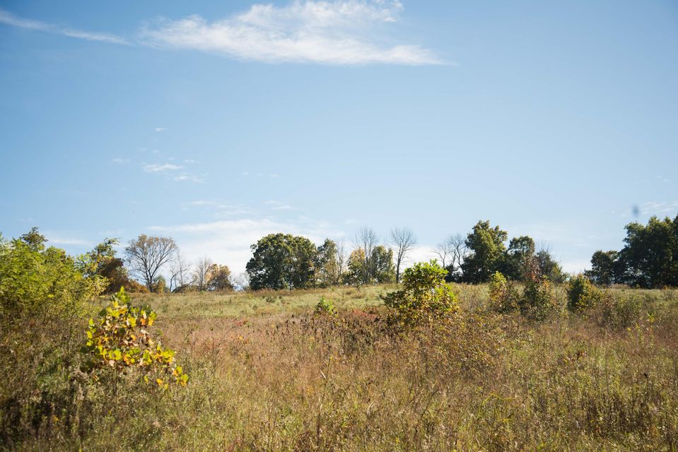 Photo #3: Lot 33 Whitehouse Road