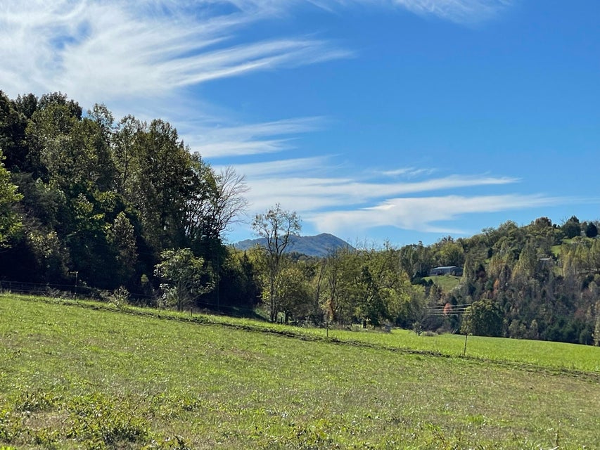 Photo #7: 18 Acres Salem Road