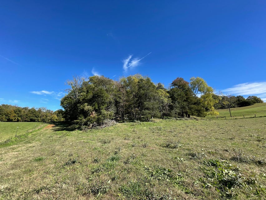 Photo #10: 18 Acres Salem Road