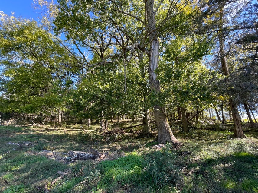 Photo #11: 18 Acres Salem Road