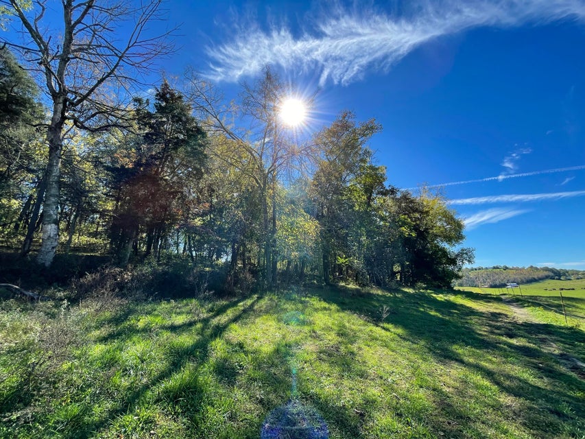 Photo #12: 18 Acres Salem Road