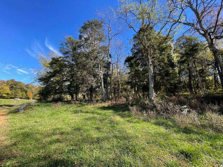 Photo #13: 18 Acres Salem Road