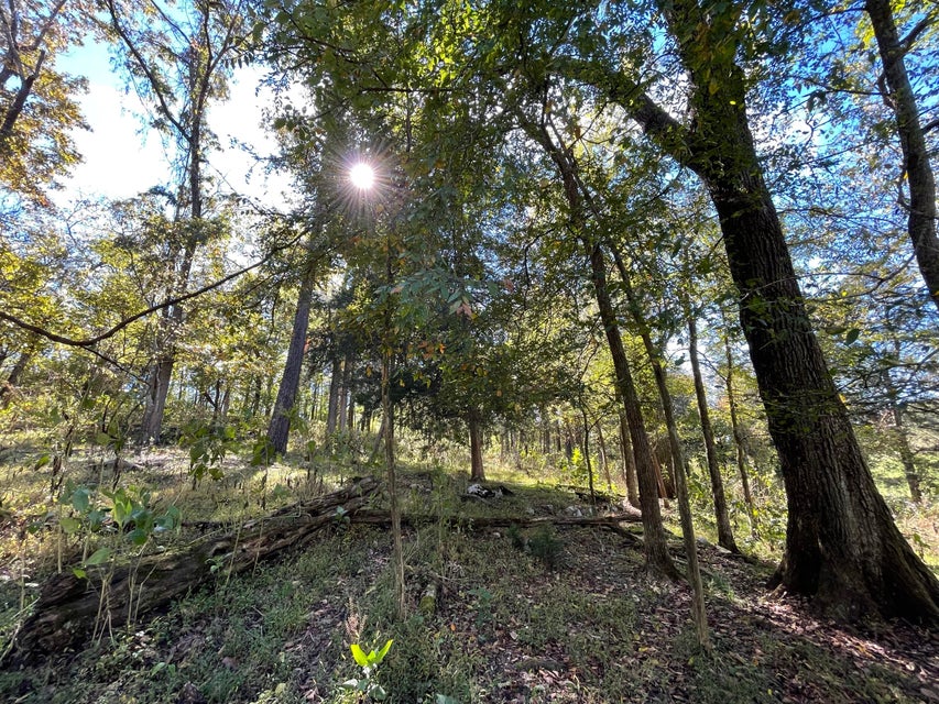 Photo #14: 18 Acres Salem Road