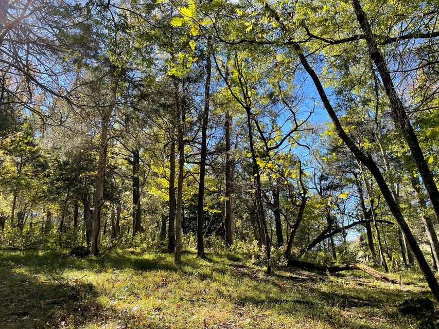 Photo #15: 18 Acres Salem Road