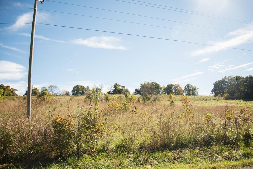 Photo #2: Lot 36 Whitehouse Road