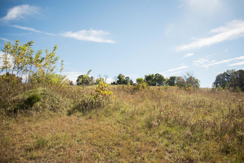 Photo #3: Lot 36 Whitehouse Road