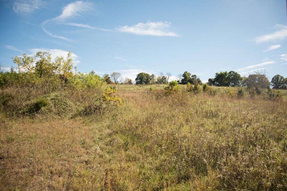 Photo #4: Lot 36 Whitehouse Road
