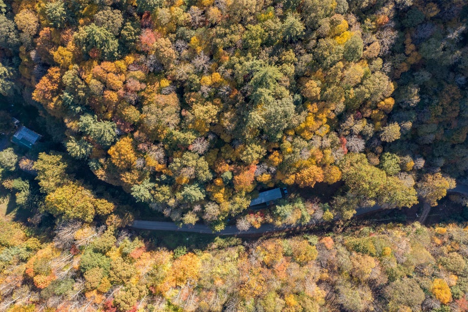 Photo #11: 985 Copperhead Hollow Road