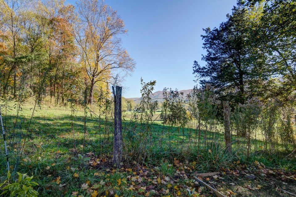 Photo #32: 120 Carter Branch Road
