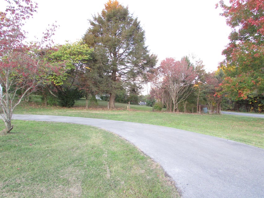 Photo #3: 240 Crockett Street