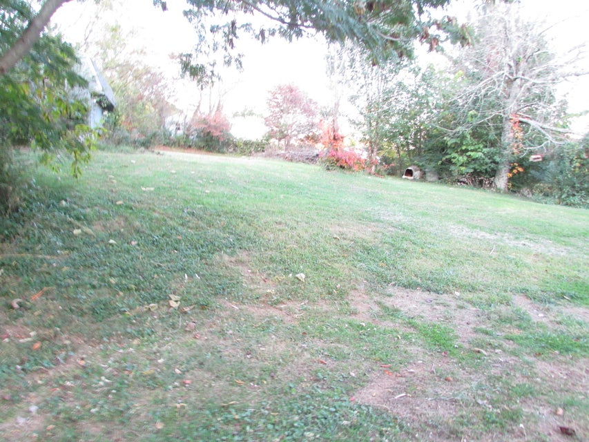 Photo #6: 240 Crockett Street