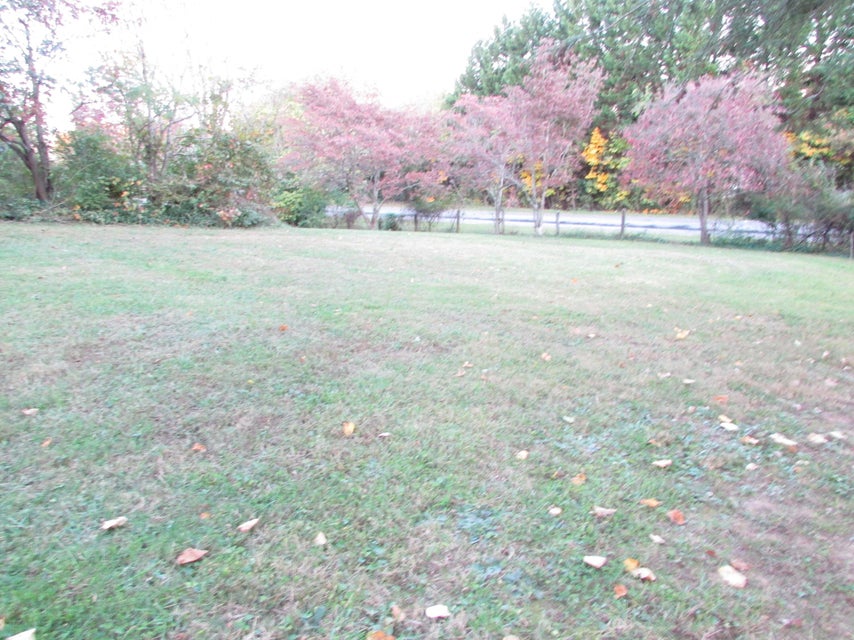 Photo #8: 240 Crockett Street