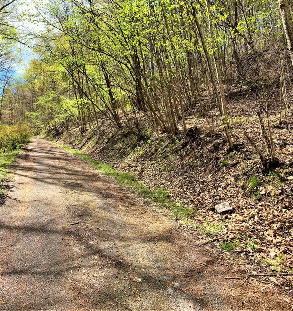 Photo #2: 493 Banjo Ridge Road