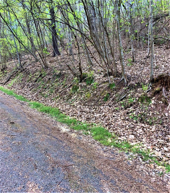 Photo #4: 493 Banjo Ridge Road