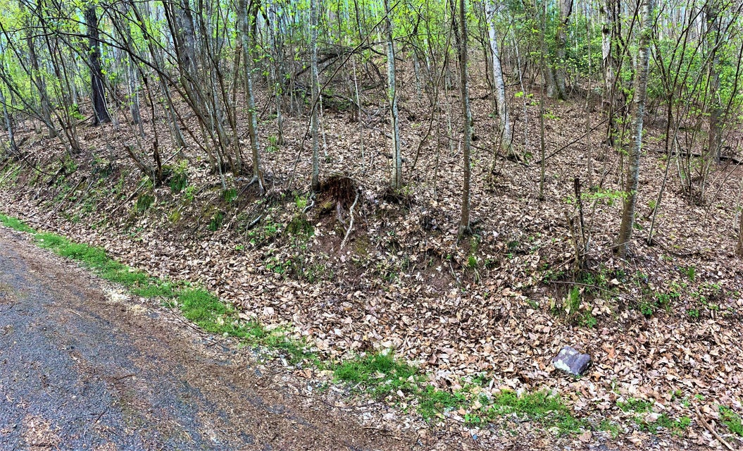 Photo #5: 493 Banjo Ridge Road