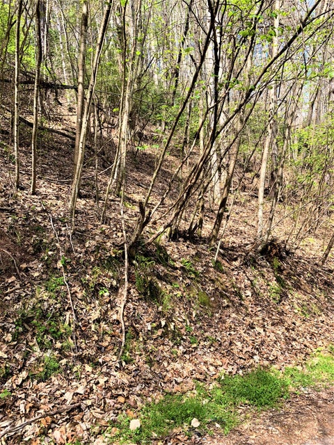 Photo #7: 493 Banjo Ridge Road