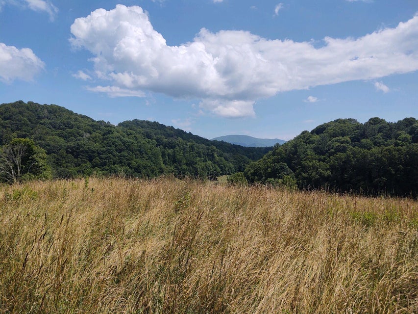 Photo #2: 9676 Hwy 421