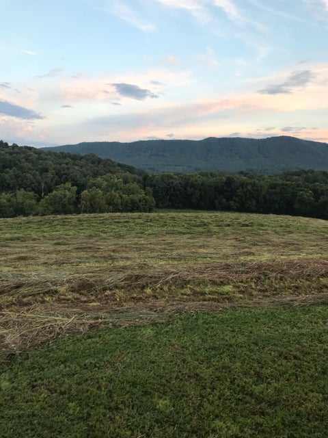 Photo #9: Tbd Treadway Trail
