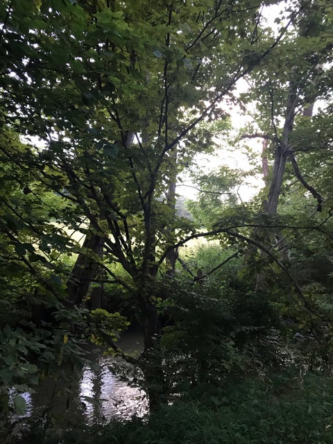 Photo #17: Tbd Treadway Trail