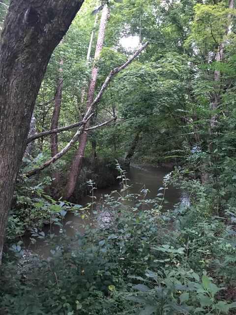 Photo #40: Tbd Treadway Trail