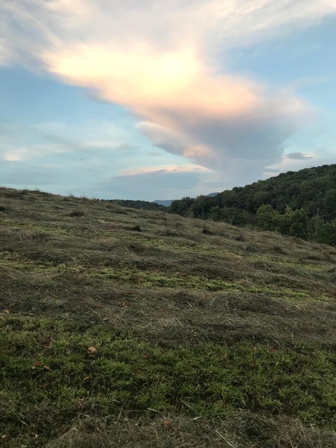 Photo #47: Tbd Treadway Trail