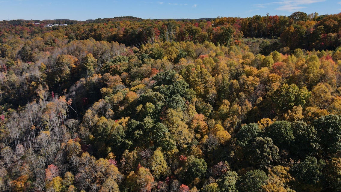 Photo #3: Tbd Yellow Creek Road